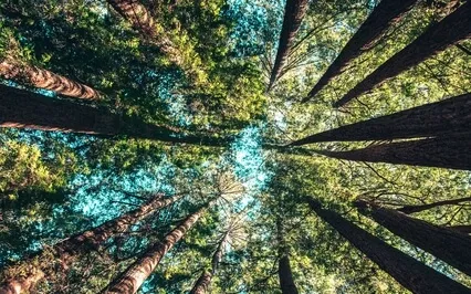 Nothing Is Lost, Only "Returned"