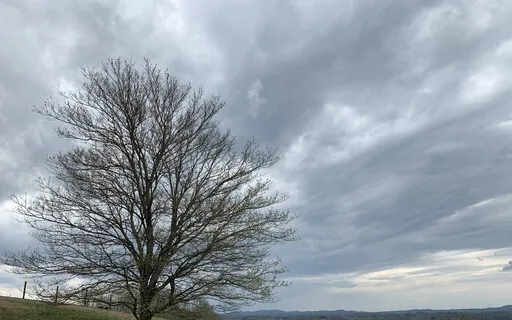 Nothing Needs To Be Happening