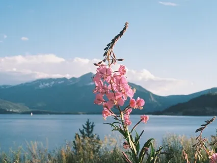 The Memory Of Happiness