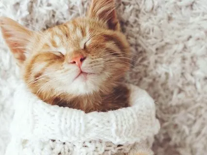 Nothing's Gone Wrong - Soothing Loop To Calm Your Mind