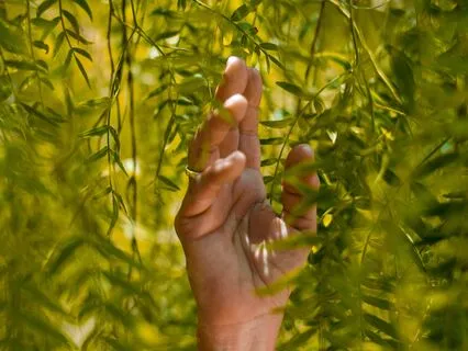 Nothing To Fear, Nothing To Fix, Nothing To Figure Out