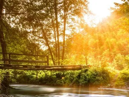 Nothing To Fix, Nothing To Prove | Sat By A Gentle Stream