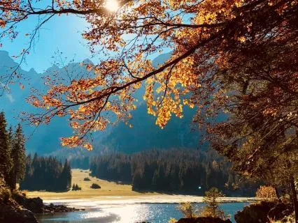 Nothing To Fix Right Now