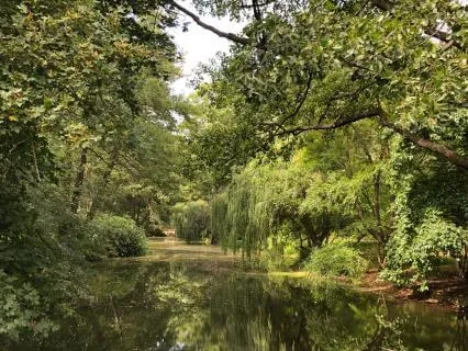 Notice One Thing That's Okay: A Short Grounding Meditation