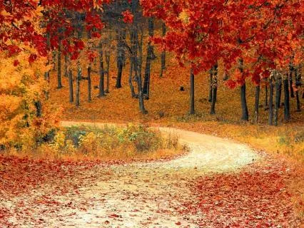 Notice The Magic In Your Life (Shortened Version)