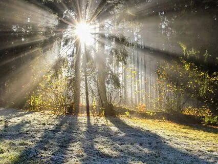 Notice The Magic In Your Life