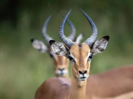 Notice What You Notice