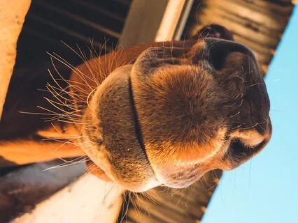 Notice What You've Not Noticed