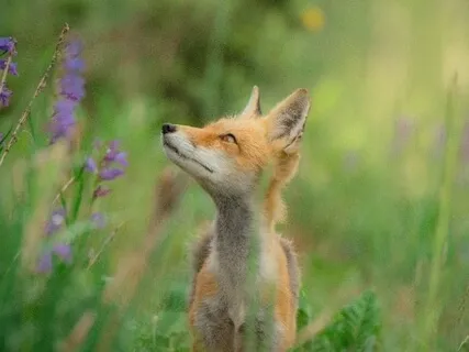 Notice Your Breath And Be Free