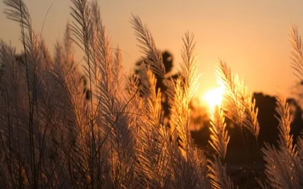 Noticer Practice ~ Deepening Your Awareness