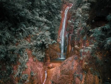 Noticing And Allowing Meditation