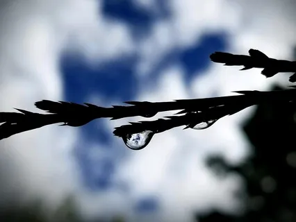 Noticing And Naming (Thoughts & Feelings)