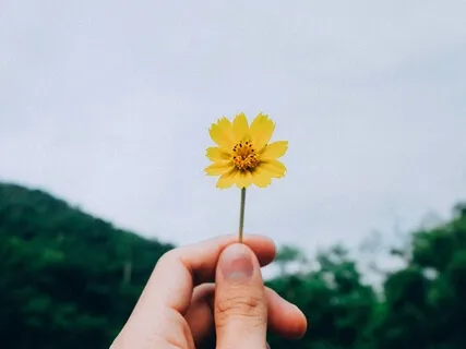 Noticing Life As It Is