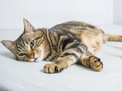 Noticing Possibilities  - Trauma Sensitive