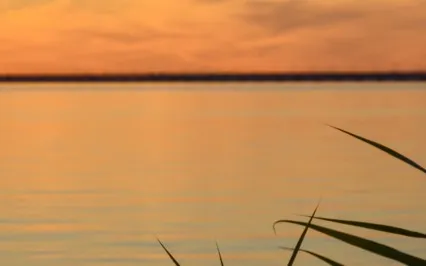 Noticing Resistance Morning Meditation