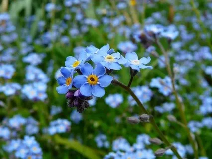 Noticing The Inner Critic - May 20