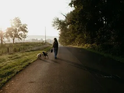 Noticing The Parts Of Us That Would Like Attention