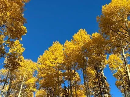 Noticing You As The Unborn