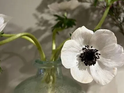 Noticing Your Surroundings