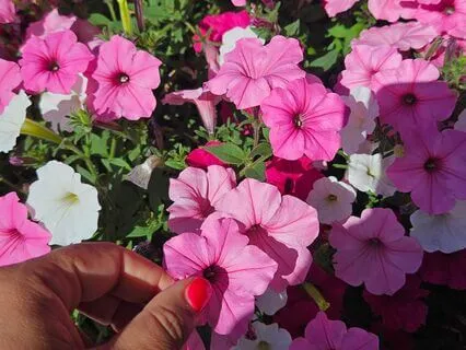 Noting For Clear Vision, Trained Attention and Awareness