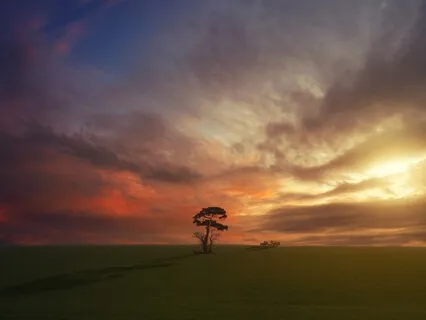 Nour El Kadhar (Light of Destiny) Live