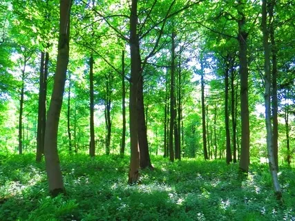 Nourish, Balance & Rejuvenate With Nature