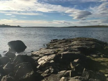 Nourish Each Cell Of Your Body (Dantien Breathing Journey 2)