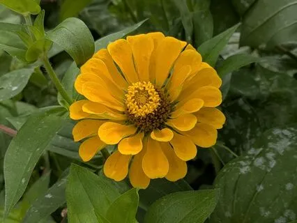 Nourish | Mindful Motivation