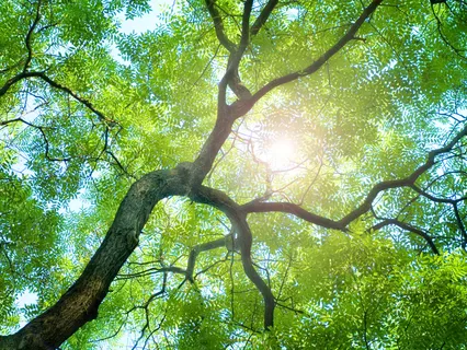 Nourish Sacred Relationships 