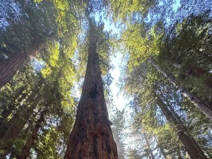 Nourish The Innermost