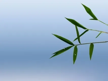 Nourish Your Creativity & Intuition