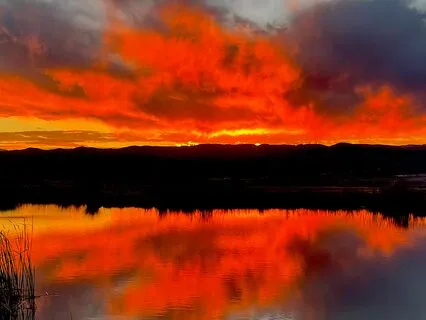 Nourish: Your Mind, Body And Soul