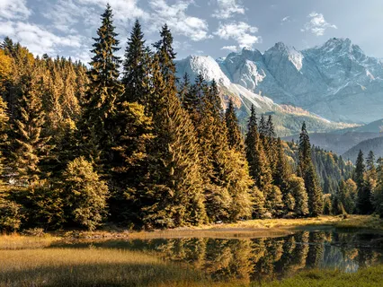 Nourish Your Nervous System