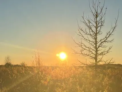 Nourishing A Sense Of Calm And Ease