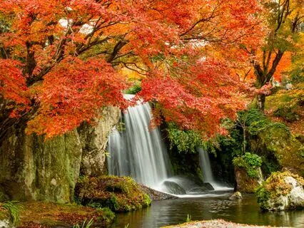 Nourishing Autumn Meditation (Short Version)