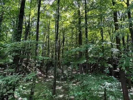 Nourishing Breath Meditation