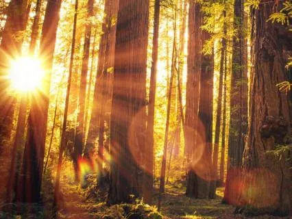 Nourishing Connection With Theta Healing