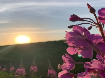 Nourishing From Within