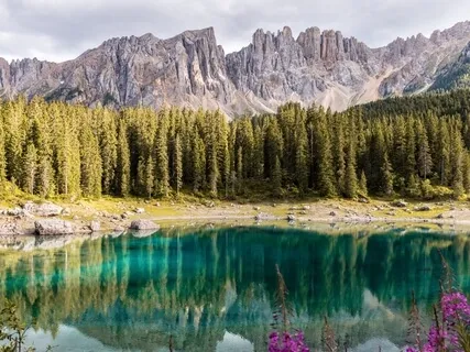 Nourishing Movement Meditation