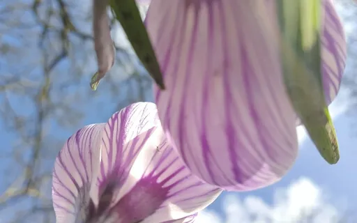 Nourishing Nap To Recharge & Refresh