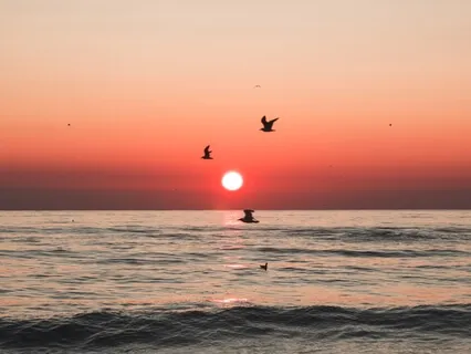 Nourishing New Year Yoga Nidra