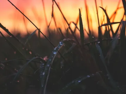 Nourishing Nidra To Enhance Inner Contentment & Self-Worth