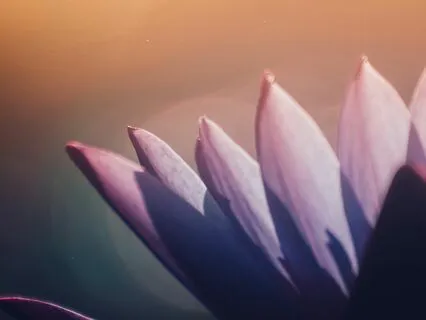 Nourishing Sleep | Delta Waves & Soft Music For Bedtime