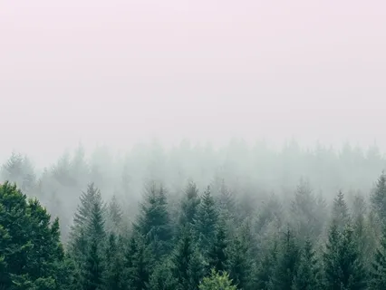 Nourishing Spaciousness: Finding Space In Confinement