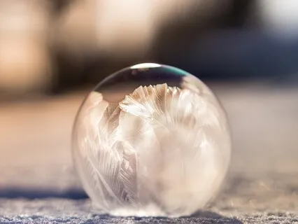 Nourishing The Middle