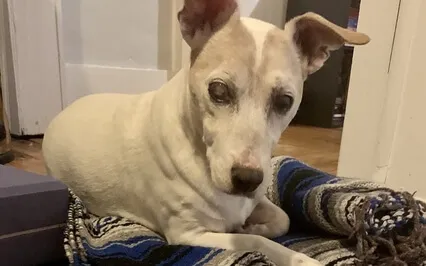 Nourishing Yoga Nidra