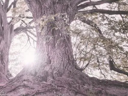 Nourishing Your Nervous System