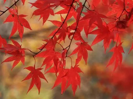 Exploring Gentle Nourishment - Contemplative Poem