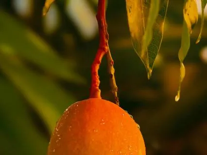 Yellow: Nourishment For Exhaustion & Depletion