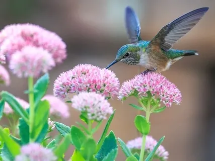 Tapping Into The Nourishment Within